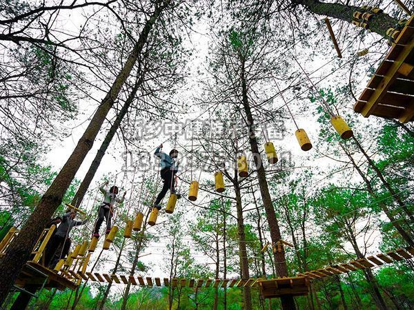 步步驚心廠家，帶你擁抱大自然！